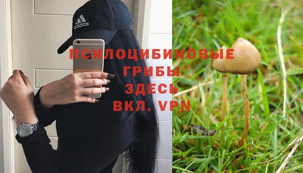 трава Алексеевка